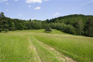 Celkový pohľad na dolnú lúku